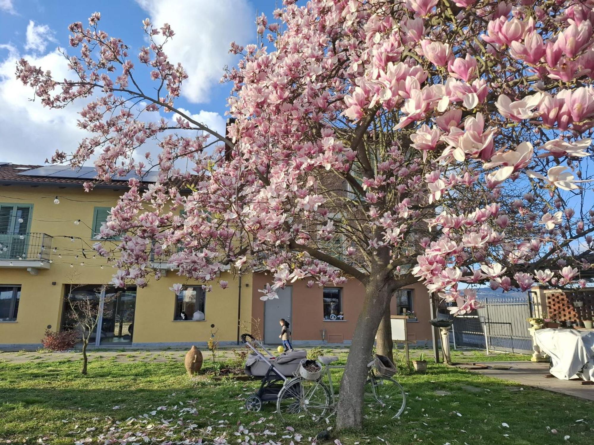Villa Albina La Loggia 외부 사진